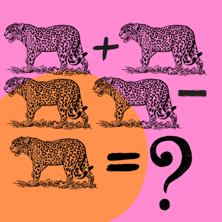 Grafik, die eine Rätselaufgabe darstellt. Es sind Geparden und mathematische Zeichen zu sehen. 